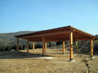 pensilina fotovoltaica in legno Classic PC0621002.jpg